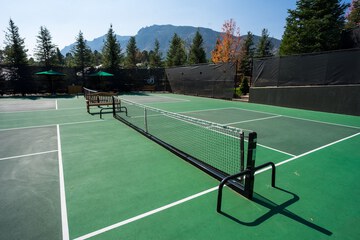 Tennis court