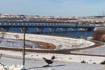 Sundeck 36 of 40
