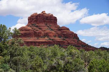 Photo 41