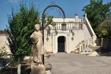 Photo 32