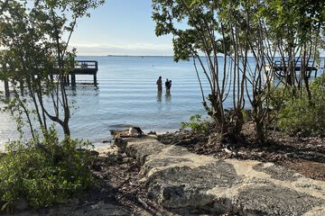 Water view