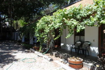 Terrace or Patio