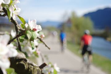 Bicycling