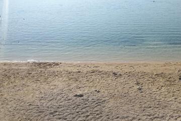 Photo 49