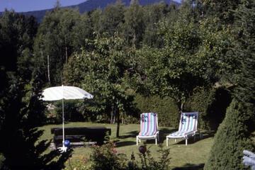 Photo 35