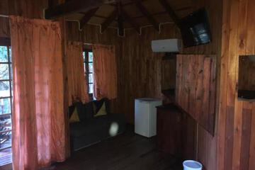 Photo 46