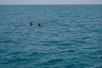 Water Sports 18 of 18