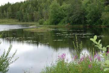 Lake