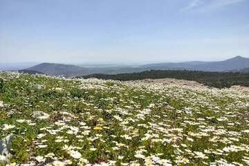 Hiking