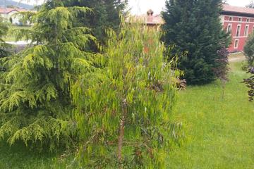 Photo 38