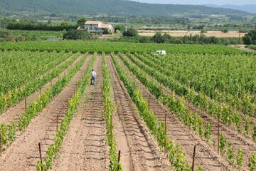 Photo 27