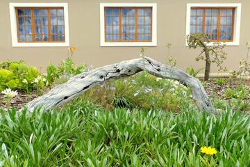 Photo 34