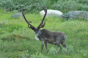 Photo 27