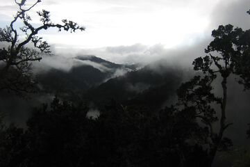 Land view from property