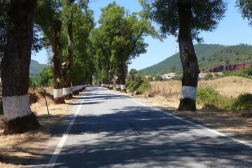 Photo 35