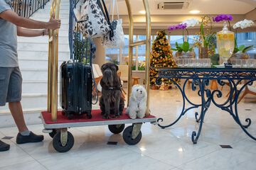 Pet-friendly amenities
