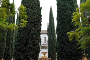 Building design