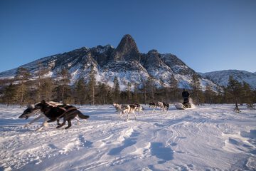 Sledding