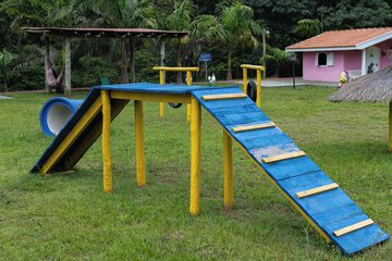 Pet-friendly amenities