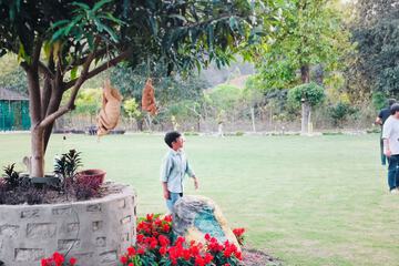 Garden view