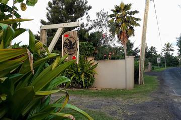Photo 48