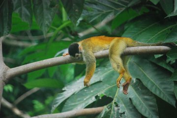 Ecotours