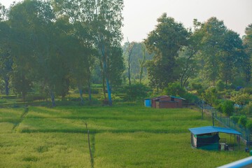 Land view from property
