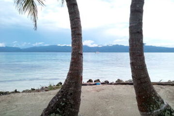 Beach or Ocean View