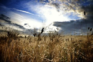 Land view from property