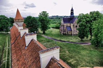 Photo 50