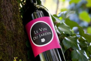Vineyard