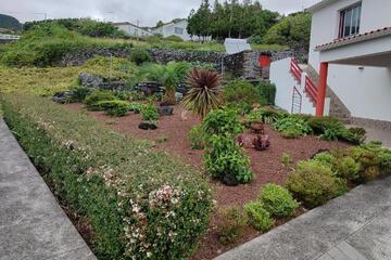 Photo 39