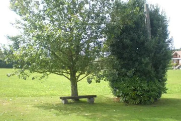 outside