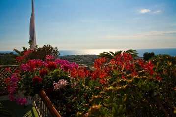 Balcony view