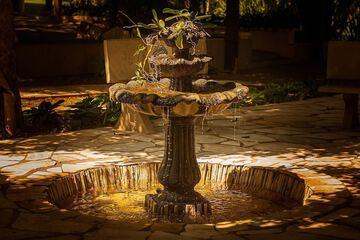 Fountain