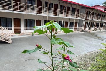 Photo 41
