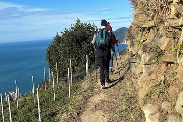 Hiking