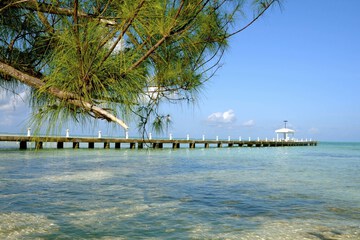 Dock