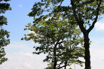 Land view from property