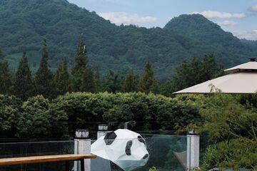 Garden view