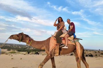 Safari