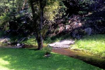 Property Grounds 65 of 66