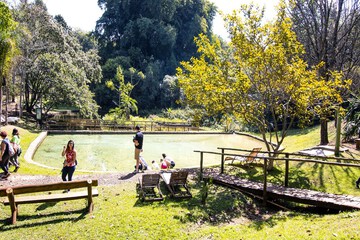 Natural pool