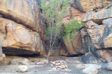 Photo 26