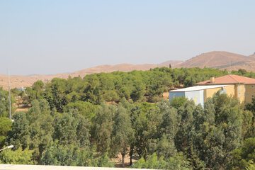 Mountain view