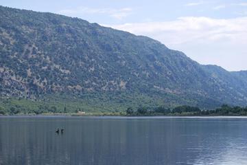 Photo 24