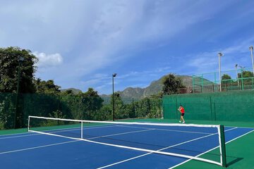 Tennis court