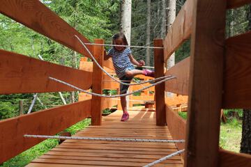 Ropes course (team building)