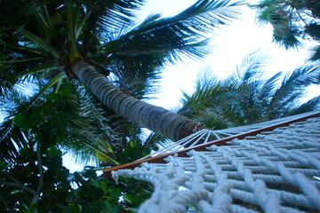 Terrace/Patio 89 of 94