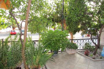 Photo 54